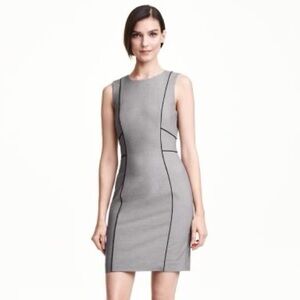 H&M Fitted Sheath Dress with Black Seaming